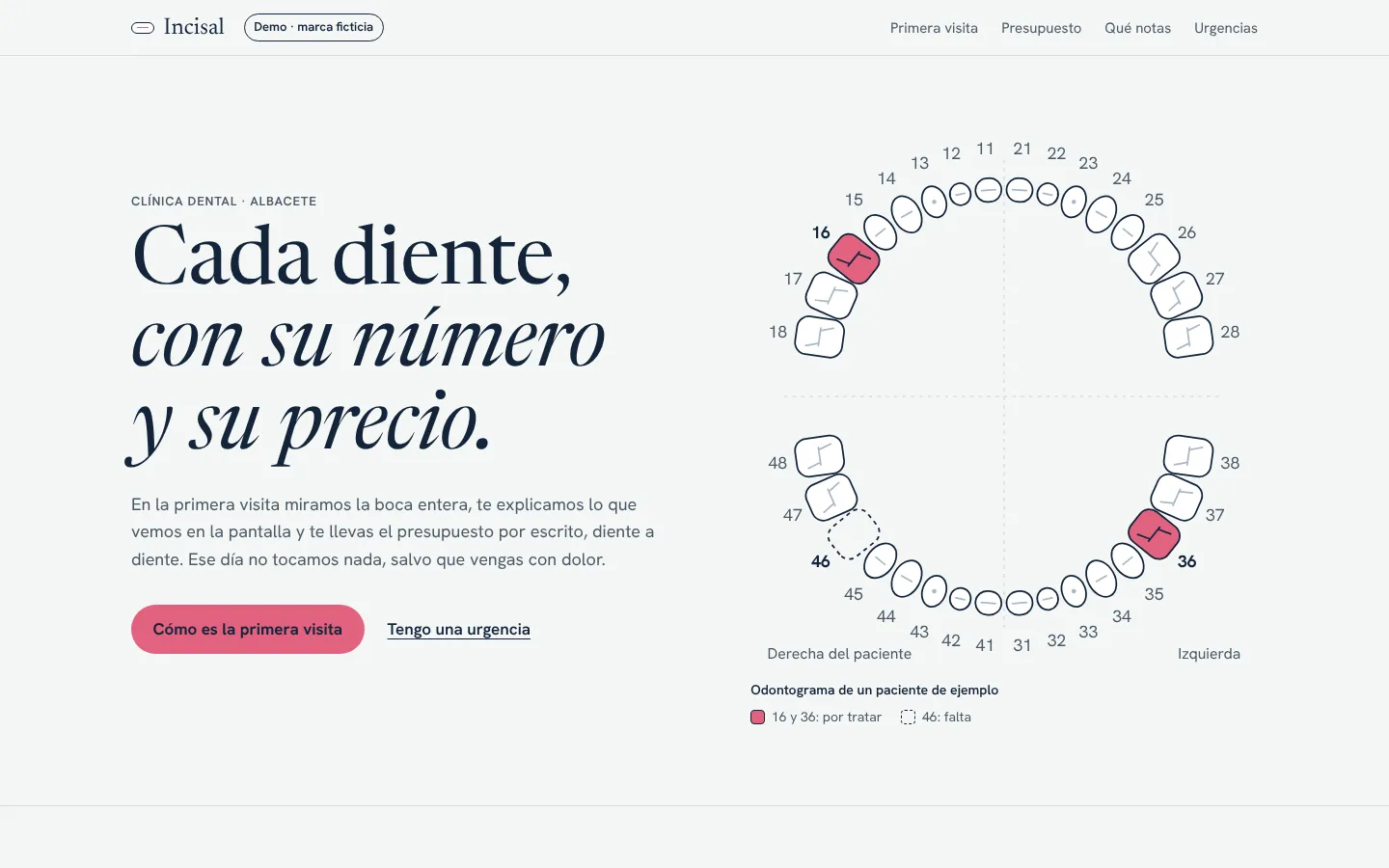 Portada de la demo Incisal: el titular «Cada diente, con su número y su precio.» junto a un odontograma con los 32 dientes numerados, dos muelas marcadas en rosa y el hueco de otra en línea de puntos
